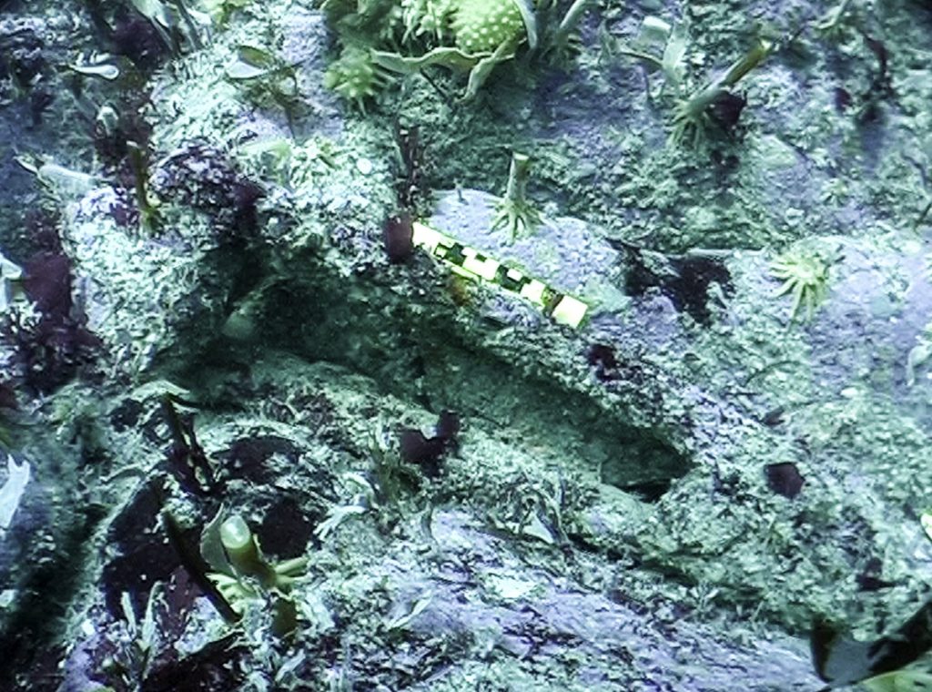 This is the hole for the chamber at the rear of the gun. This image is a still from a video taken by David McBride in 2004